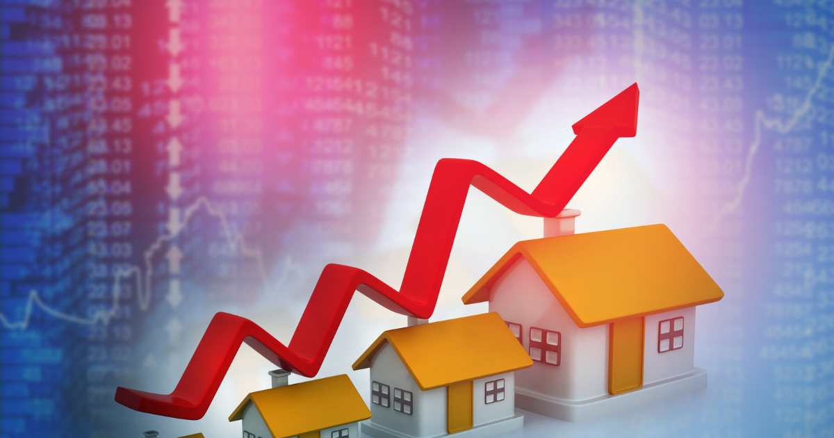 Real Estate Marketing Software